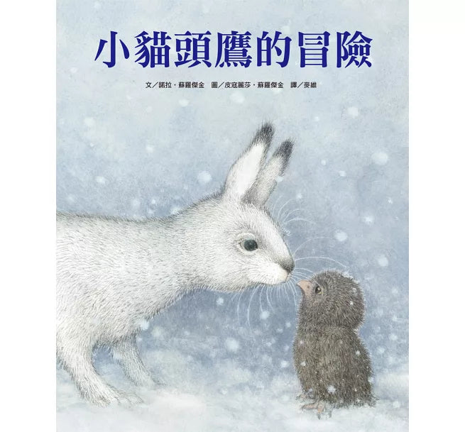 小貓頭鷹的冒險