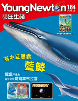 少年牛頓第164期 【海中巨無霸藍鯨】*無注音*